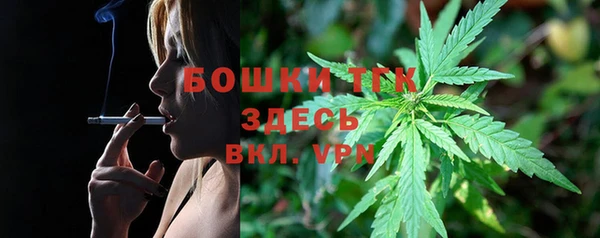 винт Карпинск