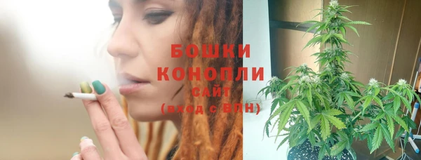 винт Карпинск