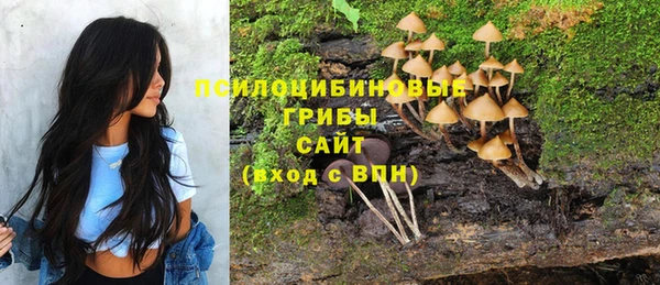 спайс Касимов