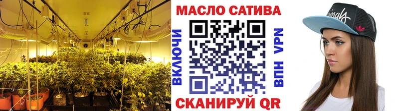 что такое Суджа ТГК концентрат