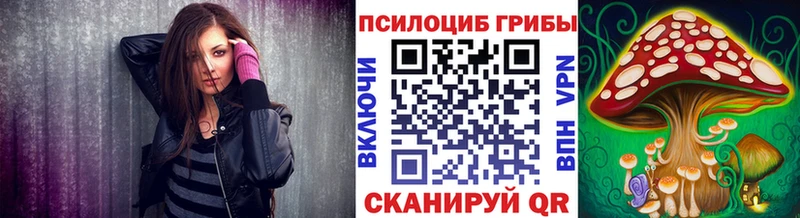 купить наркотики цена  Суджа  Псилоцибиновые грибы Magic Shrooms 